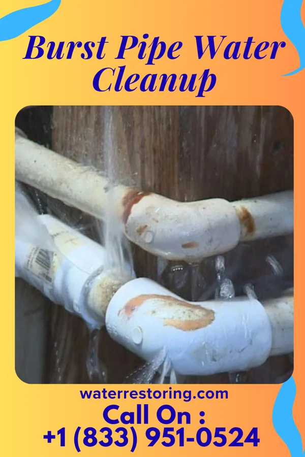 Burst Pipe Water Cleanup in Union Dale, PA