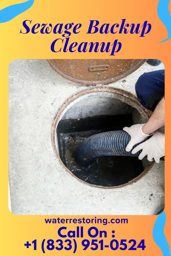 Sewage Backup Cleanup in Union Dale, PA