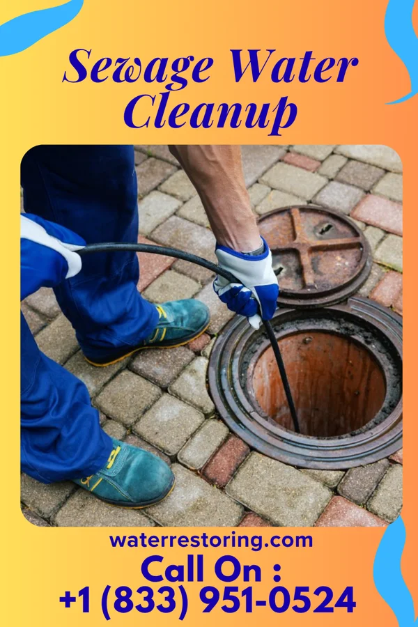 Sewage Water Cleanup in Union Dale, PA