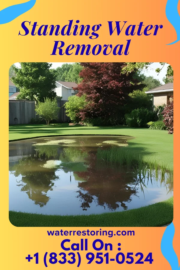 Standing Water Removal in Union Dale, PA